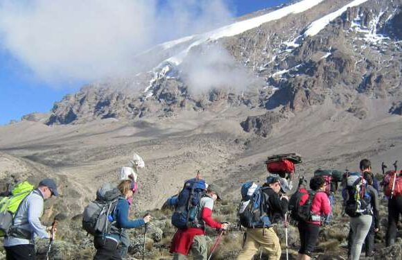 Kilimanjaro Trek & Safari Adventure – 12 Days