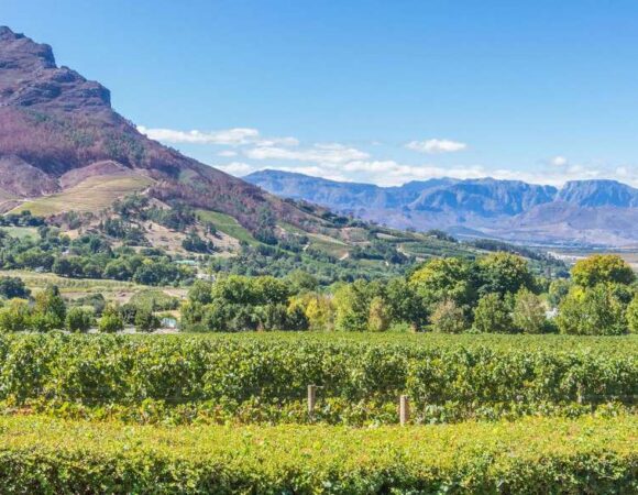 South Africa Highlights Tour – 7 Days